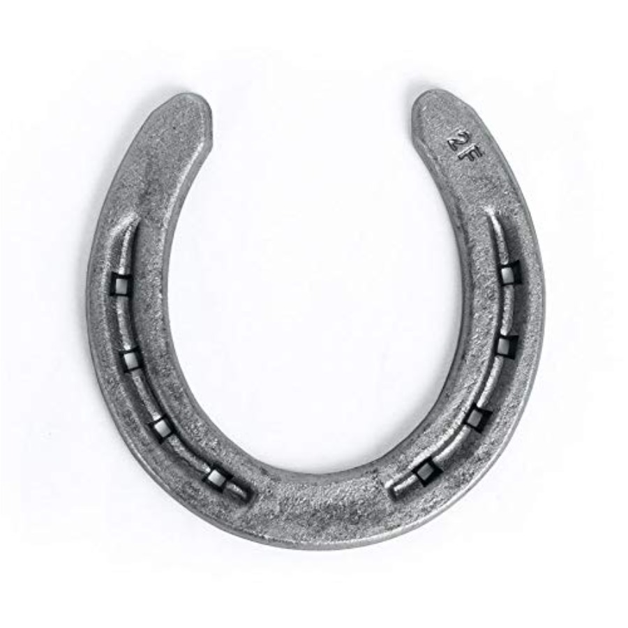 Steel Horseshoes Set for Horse - Horseshoe Game Set avis et prix
